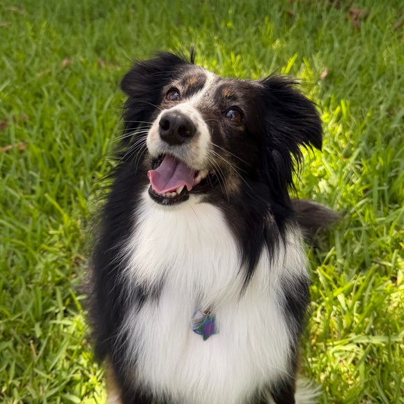 reinademiami200